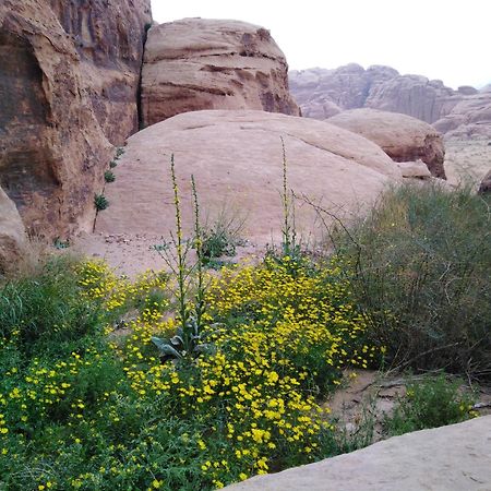 Welcome To Wadi Rum Camp Hotel Luaran gambar